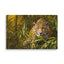 Unframed Canvas - Amazon Jaguar