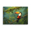 Unframed Canvas - Toucan in the Forest