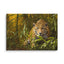 Unframed Canvas - Amazon Jaguar