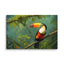 Unframed Canvas - Toucan in the Forest