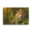 Unframed Canvas - Amazon Jaguar