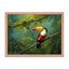 Framed Poster - Toucan in the Forest